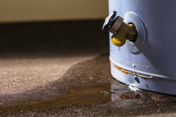 Best Water damage cleanup near me  in Riverview, MI