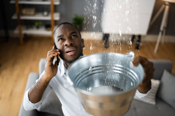  Riverview, MI Water damage restoration Pros
