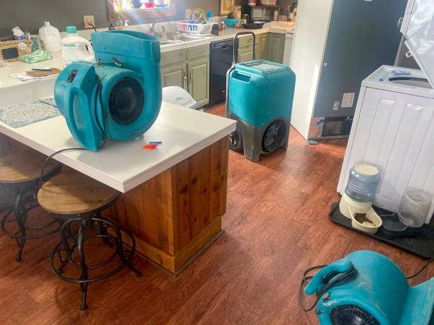 Best Water damage cleanup near me  in Riverview, MI