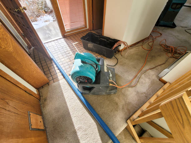 Best Commercial water damage restoration  in Riverview, MI