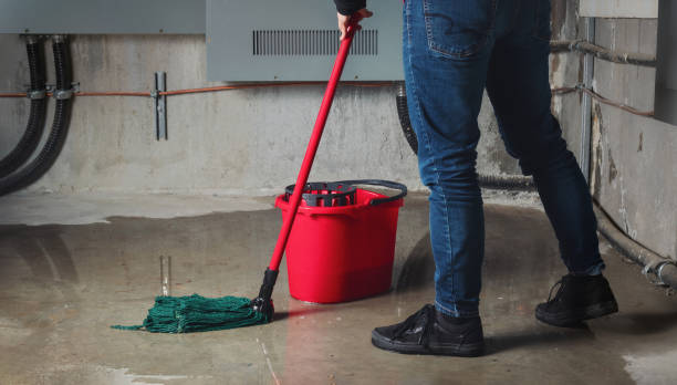 Best Carpet water damage restoration  in Riverview, MI