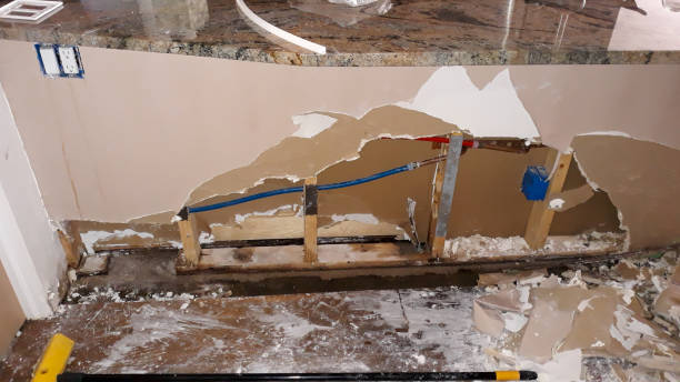 Best Sewage cleanup and water damage restoration  in Riverview, MI