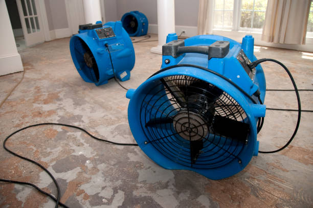 Best Emergency water damage restoration  in Riverview, MI