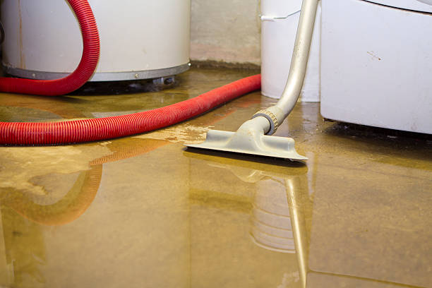 Best Carpet water damage restoration  in Riverview, MI