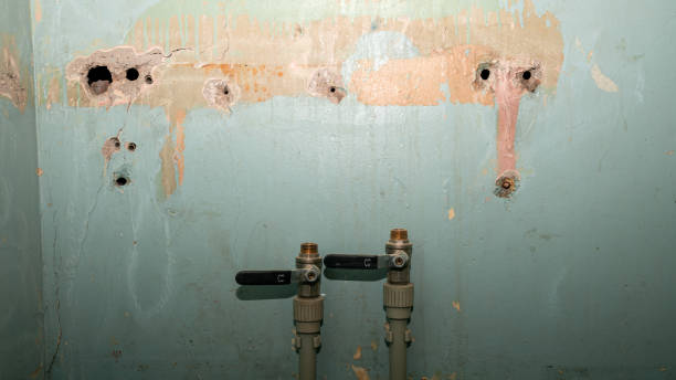24/7 water damage repair in MI