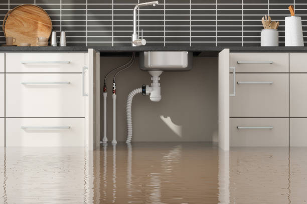 Best Basement water damage restoration  in Riverview, MI