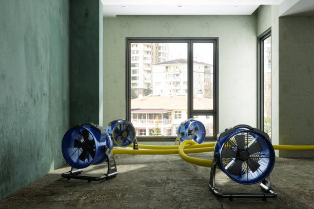 Best Commercial water damage restoration  in Riverview, MI