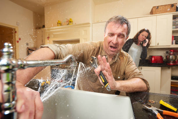 Best 24/7 water damage repair  in Riverview, MI